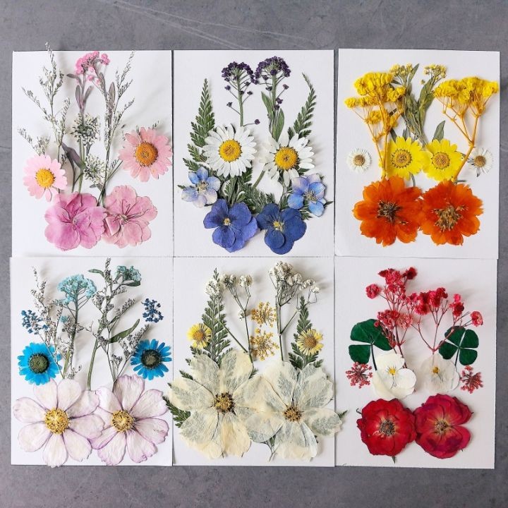 Pressed Flower